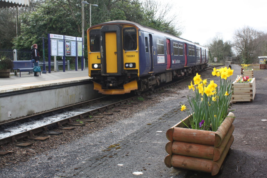 daffs and train at Bere Alston copyright Lesley Strong