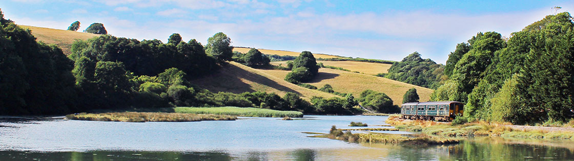 Train on the Looe Valley Line