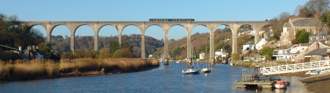 Train on Calstock Viaduct - photo by Mark Lynam